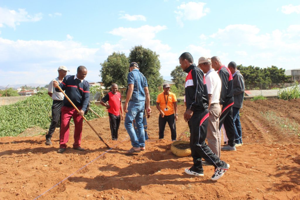 Formation en technique agricole YMCA