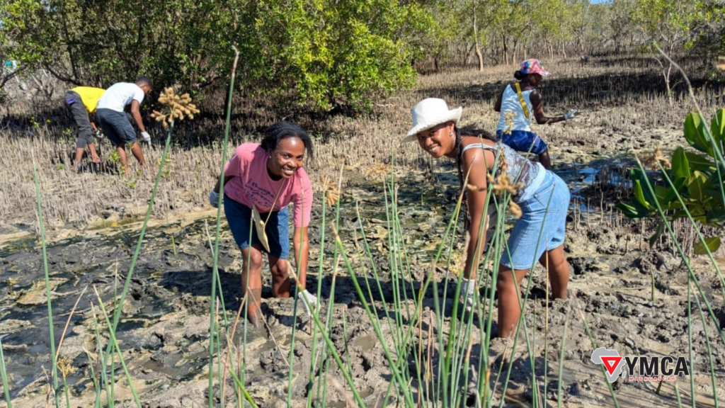 Youth in Action for Mangrove Restoration in Ambondrolava, Toliara – YMCA Madagascar